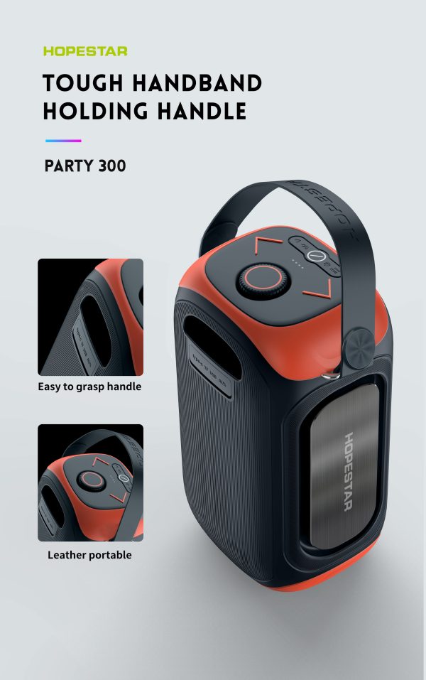 PARTY 300