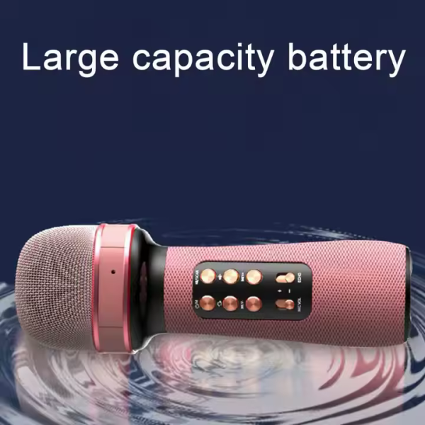 اسپیکر میکروفون WSTER - WS898