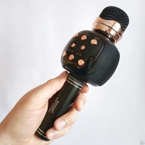 اسپیکر میکروفون WSTER - WS2911